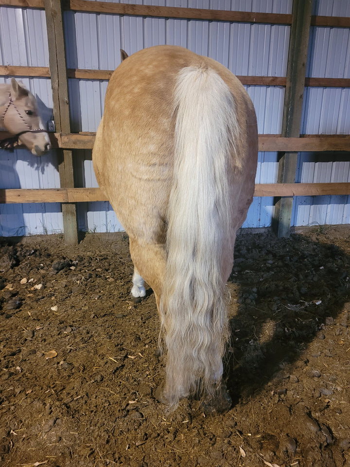 Xtra Equine- Braid Pomade