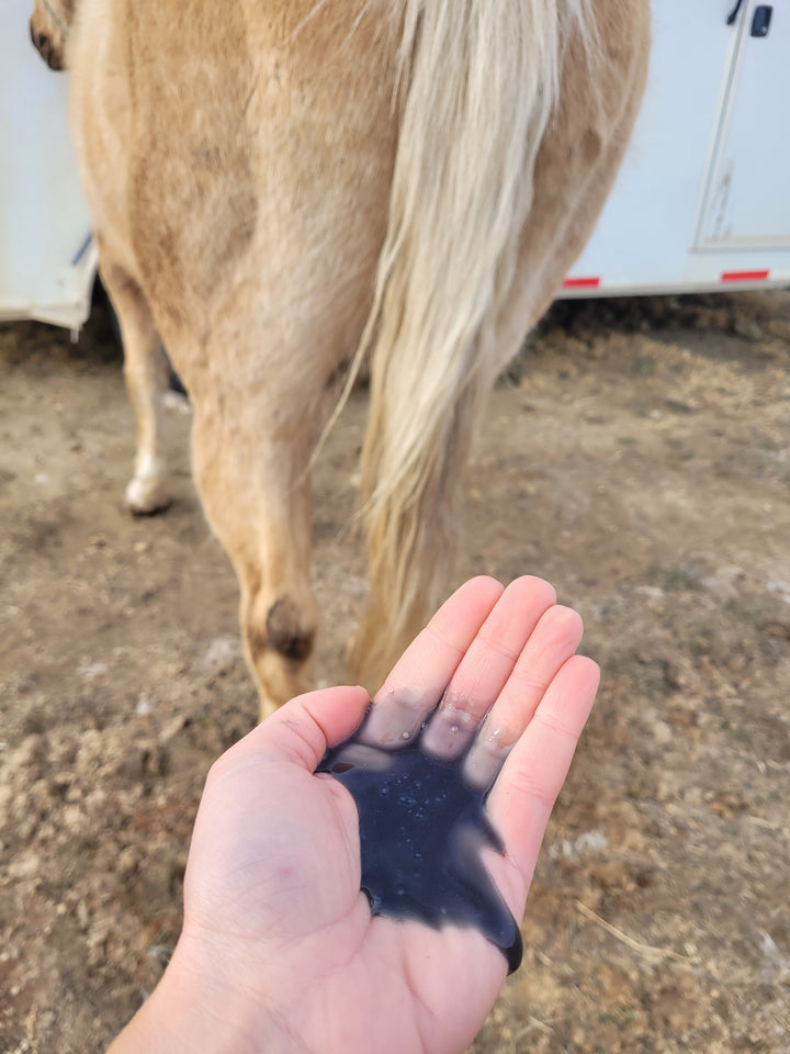 Xtra Equine - Light and Bright Shampoo