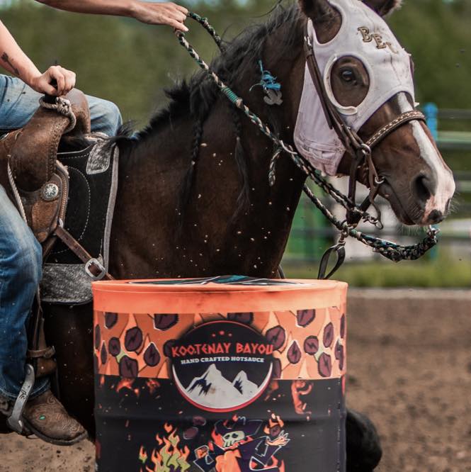 Branded Cactus Decor- Equine Bug Freshies