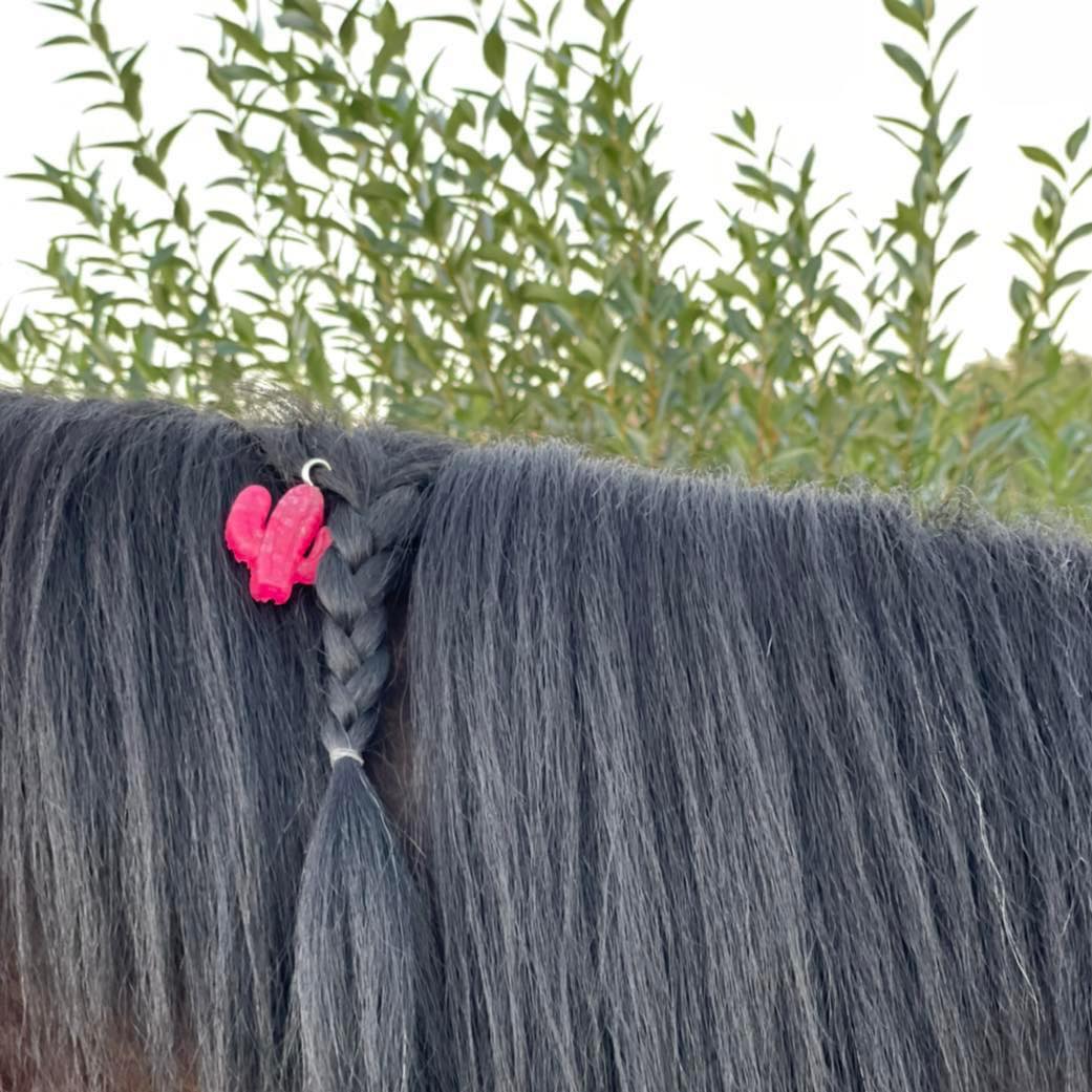 Branded Cactus Decor- Equine Bug Freshies